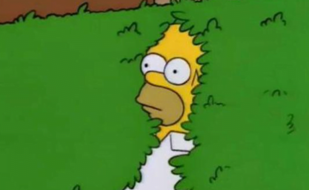 Meme de Homero arbustos